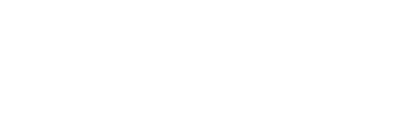 Logo APIMEX